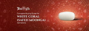 Complete Buying Guide for White Coral Stone (Safed Moonga) - Pramogh