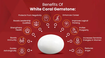 Astrological Benefits Of White Coral (Safed Moonga)