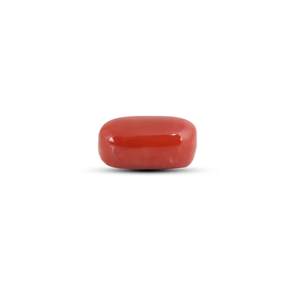 Japanese Red Coral - 9.9 Carat - Pramogh
