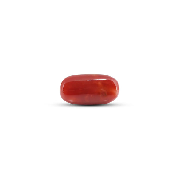 Japanese Red Coral - 7.85 Carat - Pramogh