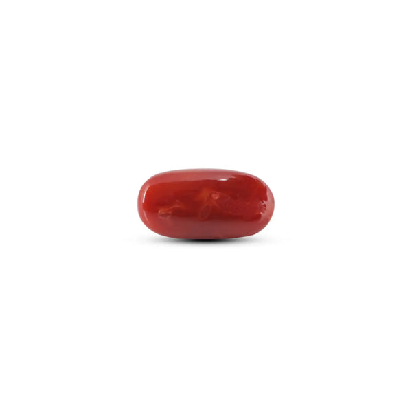 Japanese Red Coral - 8.3 Carat - Pramogh