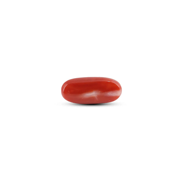 Japanese Red Coral - 9 Carat - Pramogh