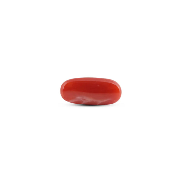 Japanese Red Coral - 8.15 Carat - Pramogh