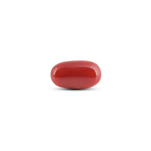 Japanese Red Coral - 7.35 Carat - Pramogh