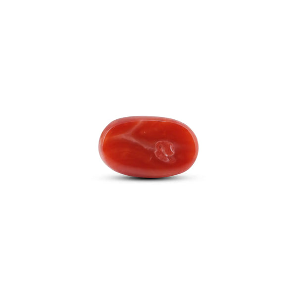 Japanese Red Coral - 7.05 Carat - Pramogh