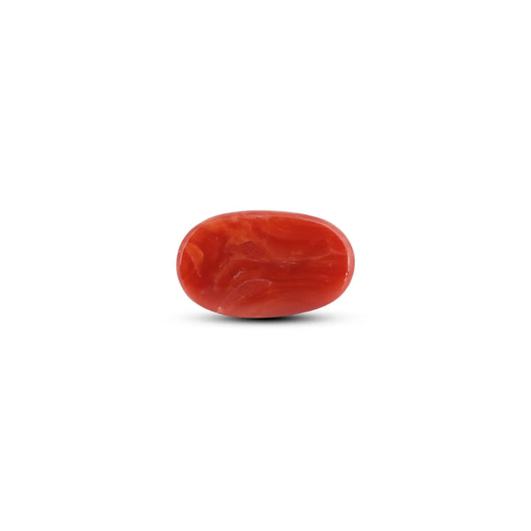 Japanese Red Coral - 7.4 Carat - Pramogh
