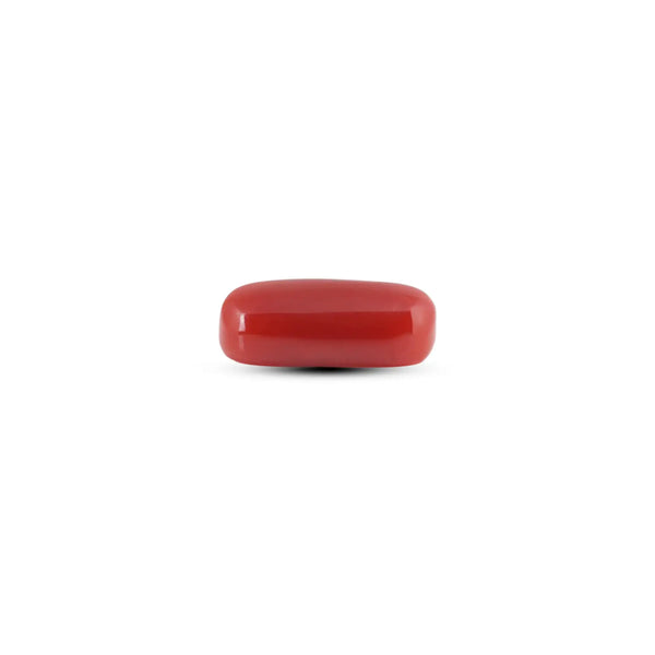 Japanese Red Coral - 7.05 Carat - Pramogh