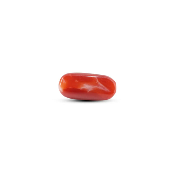 Japanese Red Coral - 7.3 Carat - Pramogh