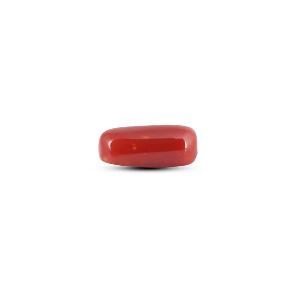 Japanese Red Coral - 8.75 Carat - Pramogh