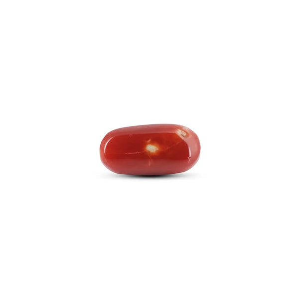Japanese Red Coral - 6.95 Carat - Pramogh
