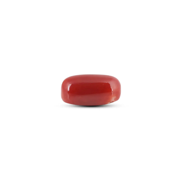 Japanese Red Coral - 6.95 Carat - Pramogh