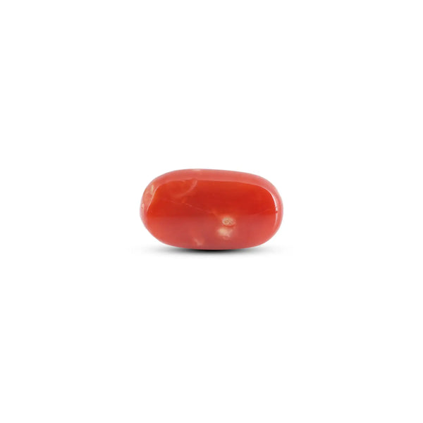 Japanese Red Coral - 8.4 Carat - Pramogh