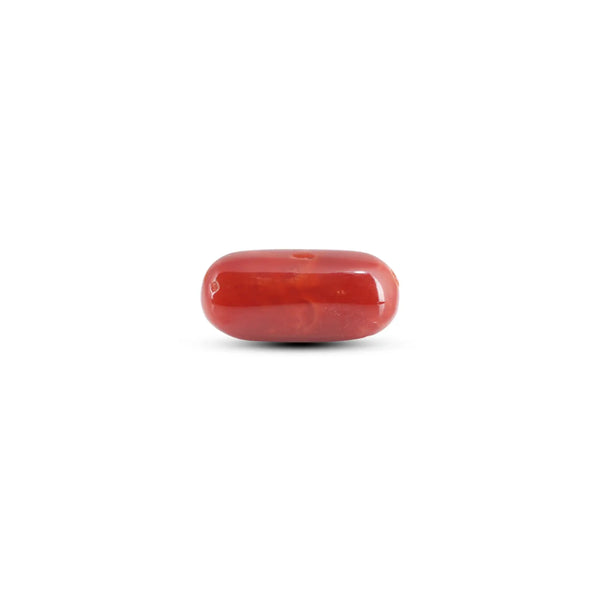 Japanese Red Coral - 7.2 Carat - Pramogh