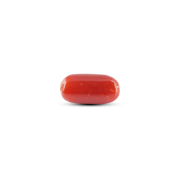 Japanese Red Coral - 6.9 Carat - Pramogh