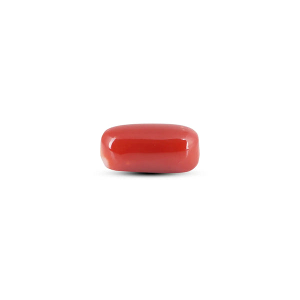 Japanese Red Coral - 6.9 Carat - Pramogh