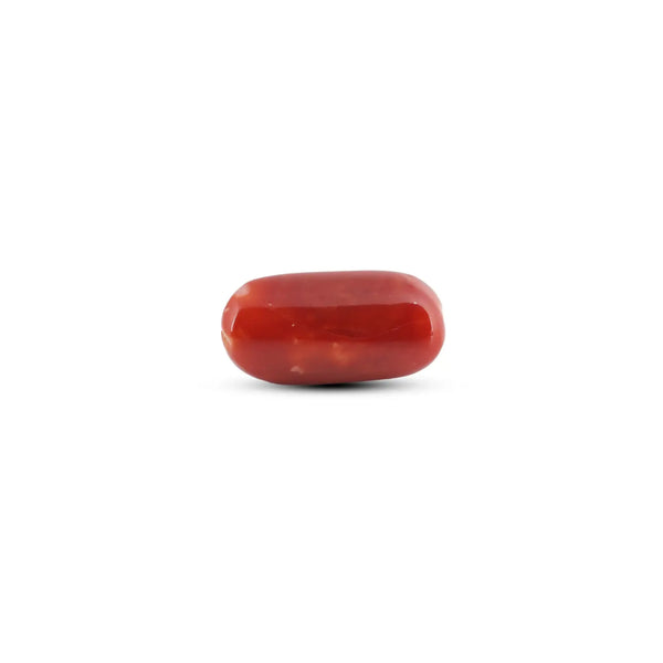 Japanese Red Coral - 7.6 Carat - Pramogh