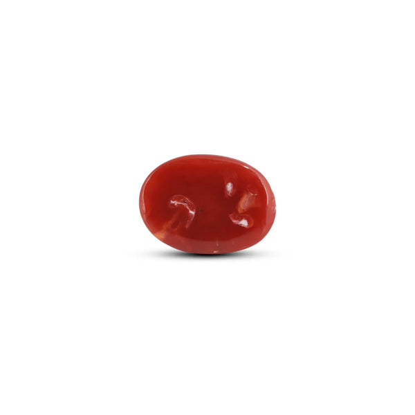 Japanese Red Coral - 7.75 Carat - Pramogh