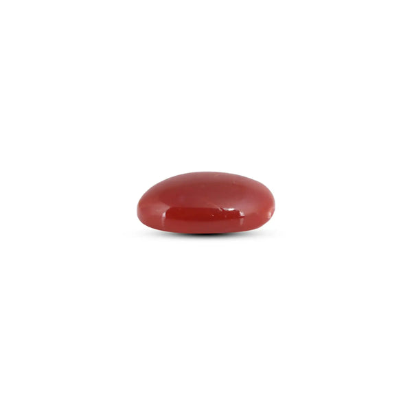 Japanese Red Coral - 7.75 Carat - Pramogh