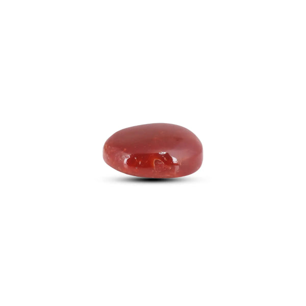 Japanese Red Coral - 9 Carat - Pramogh