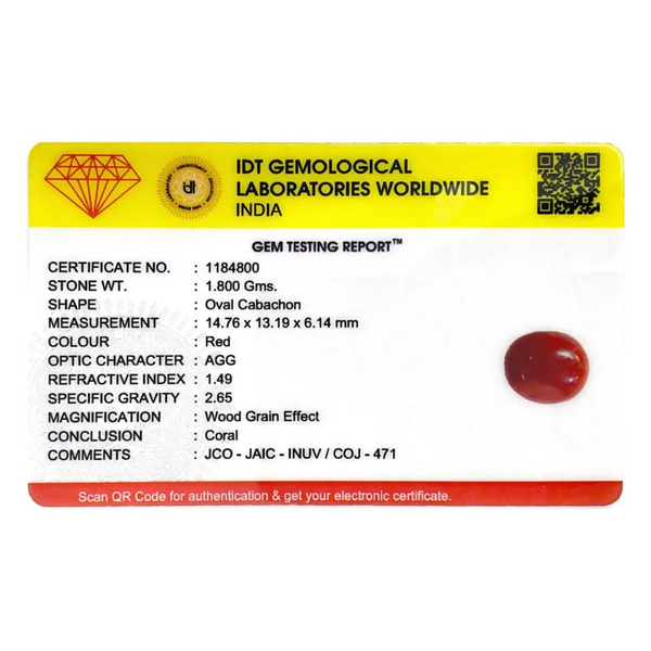 Japanese Red Coral - 9 Carat - Pramogh
