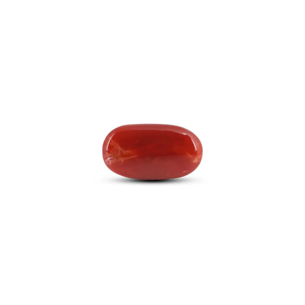Japanese Red Coral - 7.8 Carat - Pramogh