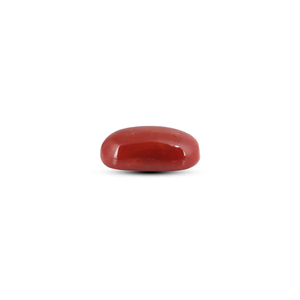 Japanese Red Coral - 7.8 Carat - Pramogh