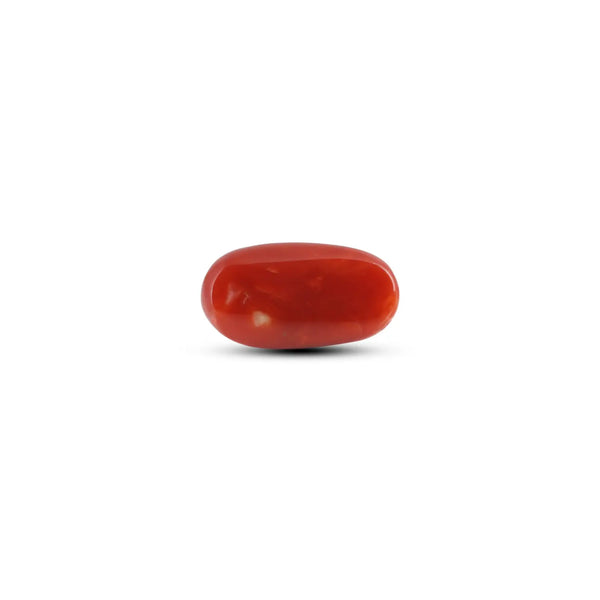 Japanese Red Coral - 6.95 Carat - Pramogh