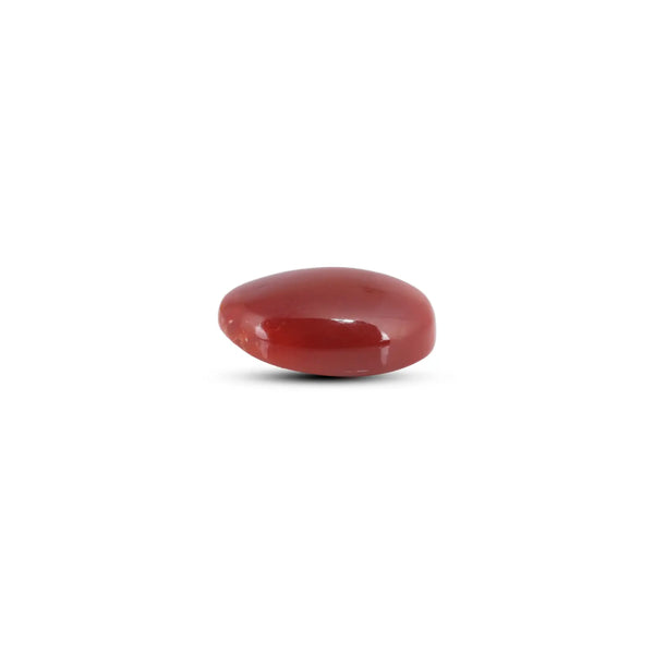 Japanese Red Coral - 9.55 Carat - Pramogh