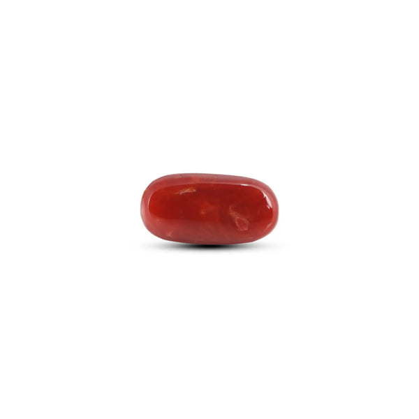 Japanese Red Coral - 8.85 Carat - Pramogh