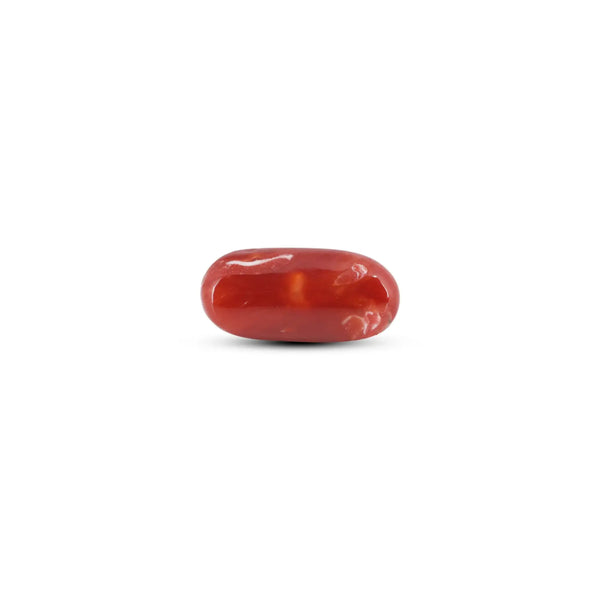 Japanese Red Coral - 7.25 Carat - Pramogh