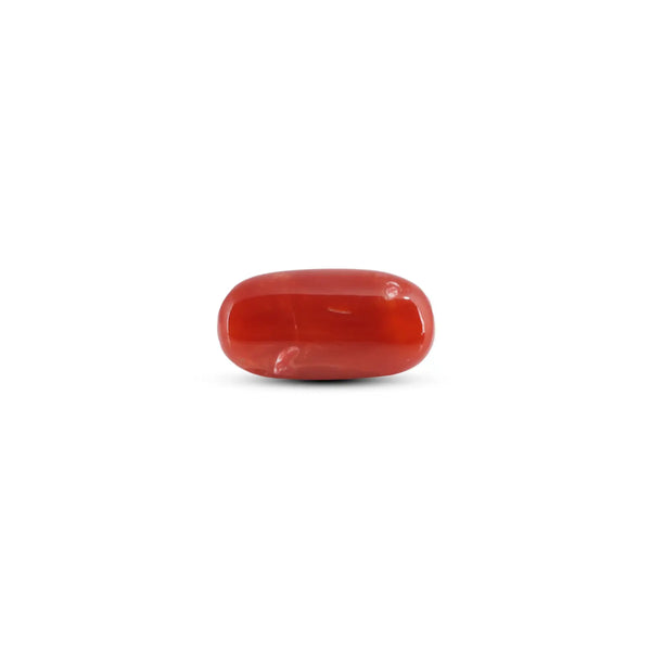 Japanese Red Coral - 7.3 Carat - Pramogh
