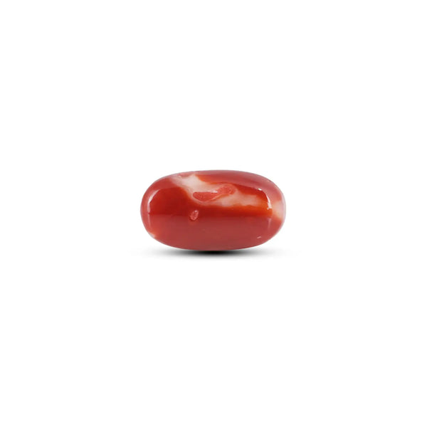 Japanese Red Coral - 7.65 Carat - Pramogh