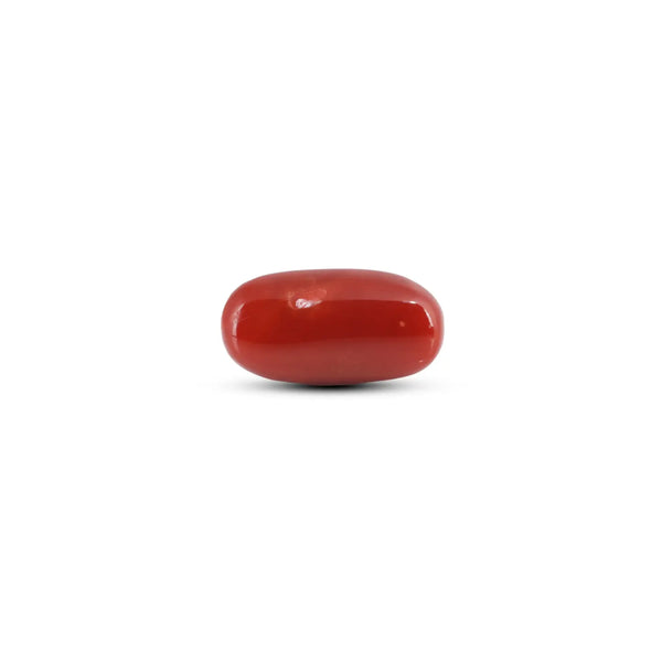 Japanese Red Coral - 7.55 Carat - Pramogh