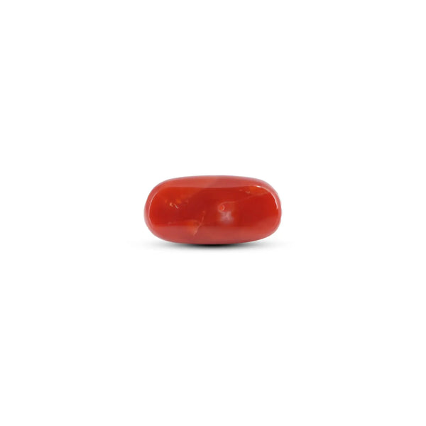 Japanese Red Coral - 7.75 Carat - Pramogh