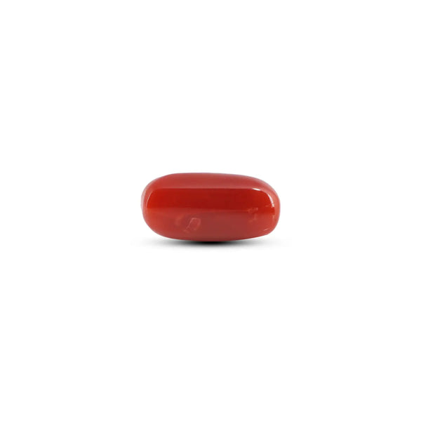 Japanese Red Coral - 7.05 Carat - Pramogh