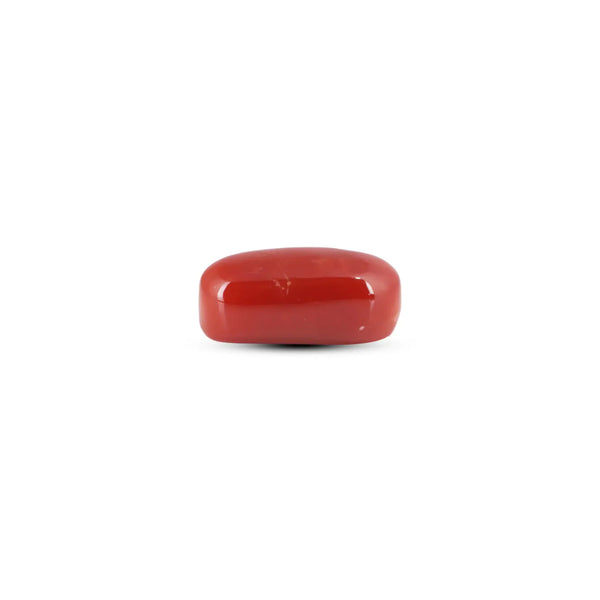 Japanese Red Coral - 7.05 Carat - Pramogh