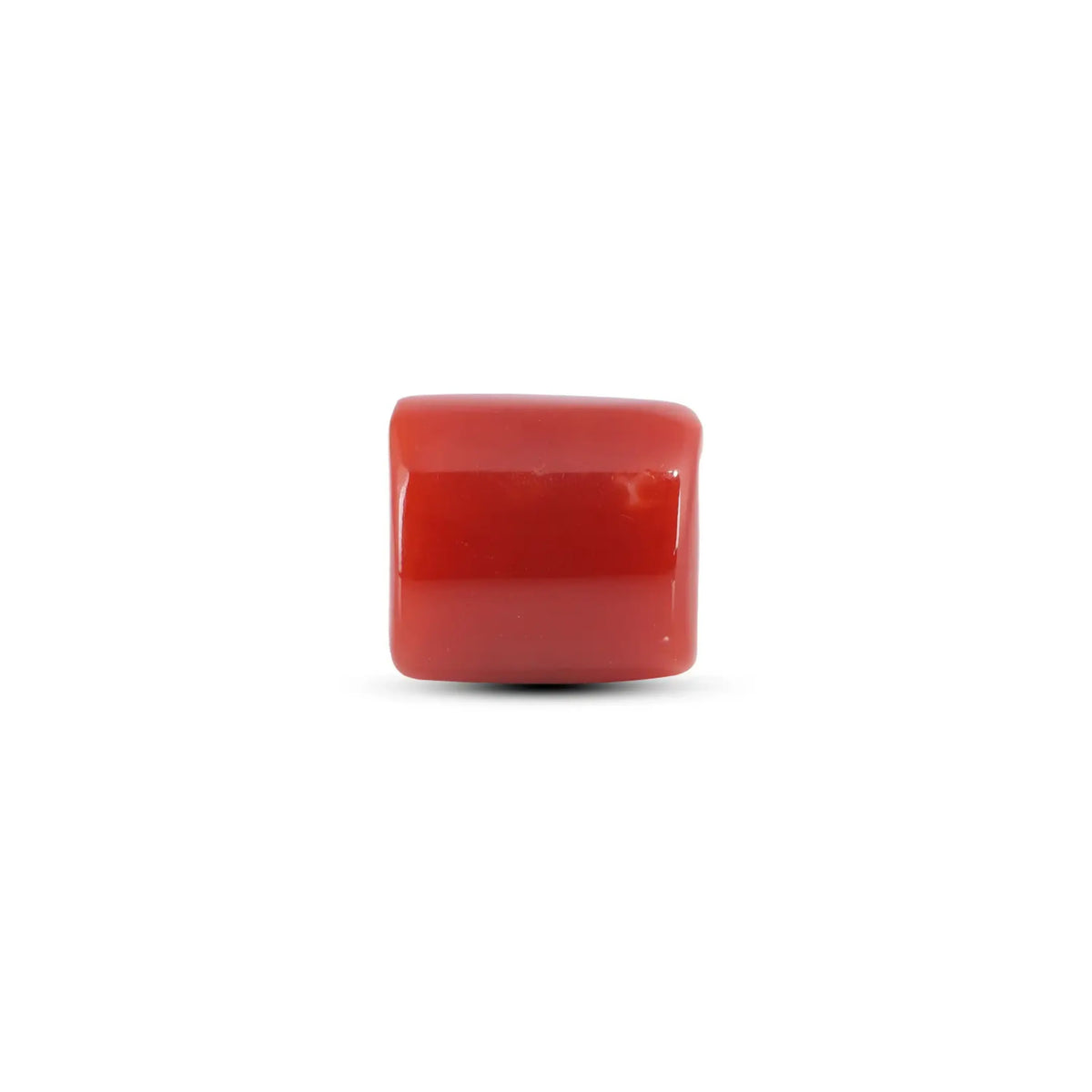 coralcoralページ Shop 5.85 carat Japanese Red Coral Gemstone - Pramogh