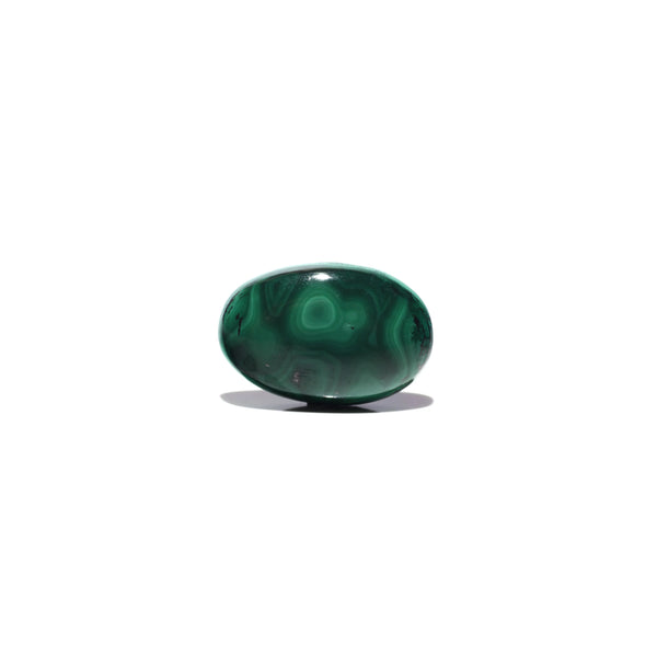 Malachite (Kidney Stone) - 28.1 Carat - Pramogh
