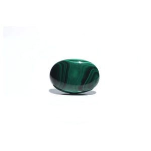 Malachite (Kidney Stone) - 26.8 Carat - Pramogh