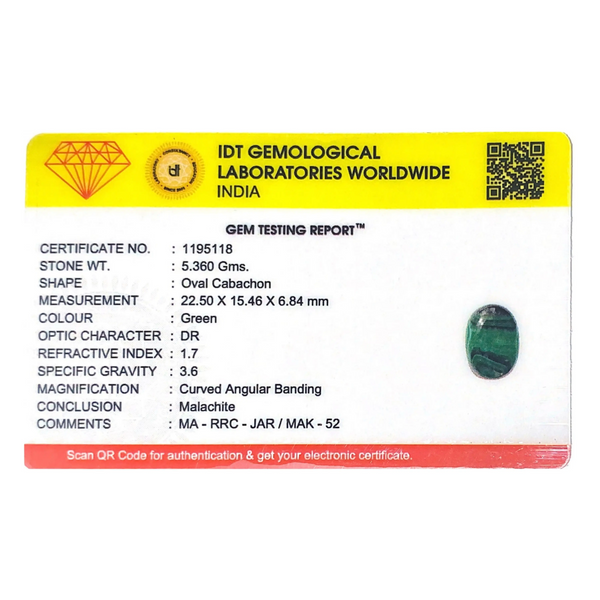 Malachite (Kidney Stone) - 26.8 Carat