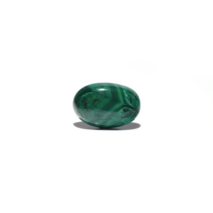 Malachite (Kidney Stone) - 23.05 Carat - Pramogh