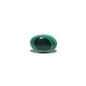 Malachite (Kidney Stone) - 31 Carat - Pramogh