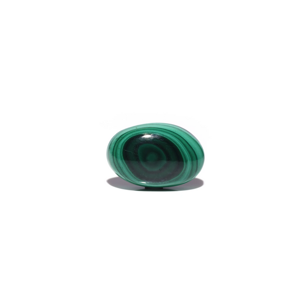 Malachite (Kidney Stone) - 31 Carat - Pramogh