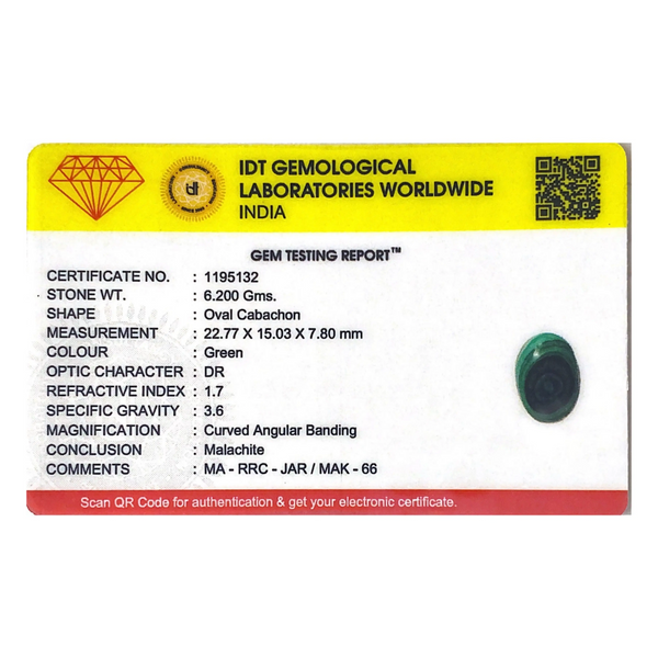 Malachite (Kidney Stone) - 31 Carat