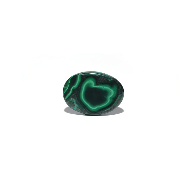 Malachite (Kidney Stone) - 33.8 Carat