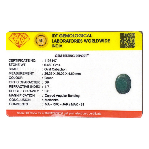 Malachite (Kidney Stone) - 25.5 Carat