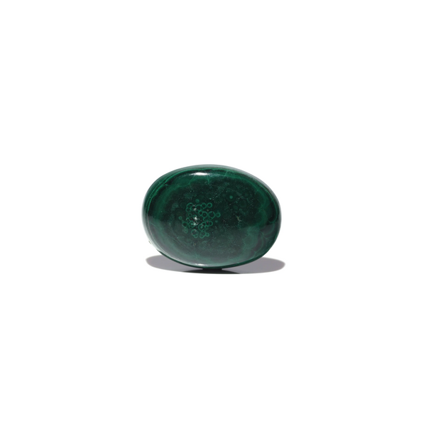 Malachite (Kidney Stone) - 30.75 Carat - Pramogh