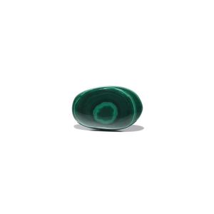 Malachite (Kidney Stone) - 23.6 Carat - Pramogh
