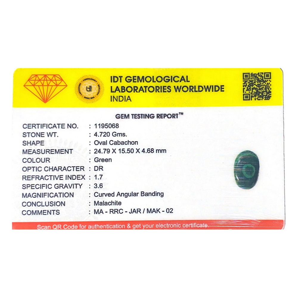 Malachite (Kidney Stone) - 23.6 Carat