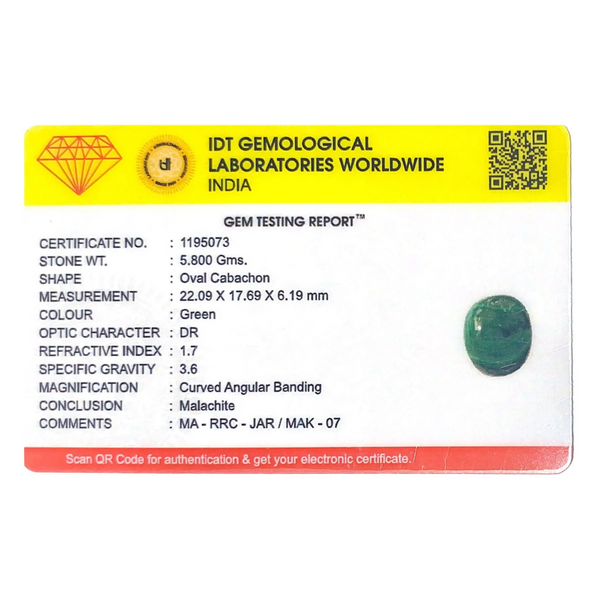 Malachite (Kidney Stone) - 29 Carat